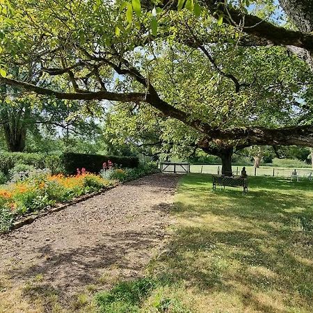 Les Noyers Monestois Entre Cher Et Canal De Berry Mennetou-sur-Cher Dış mekan fotoğraf