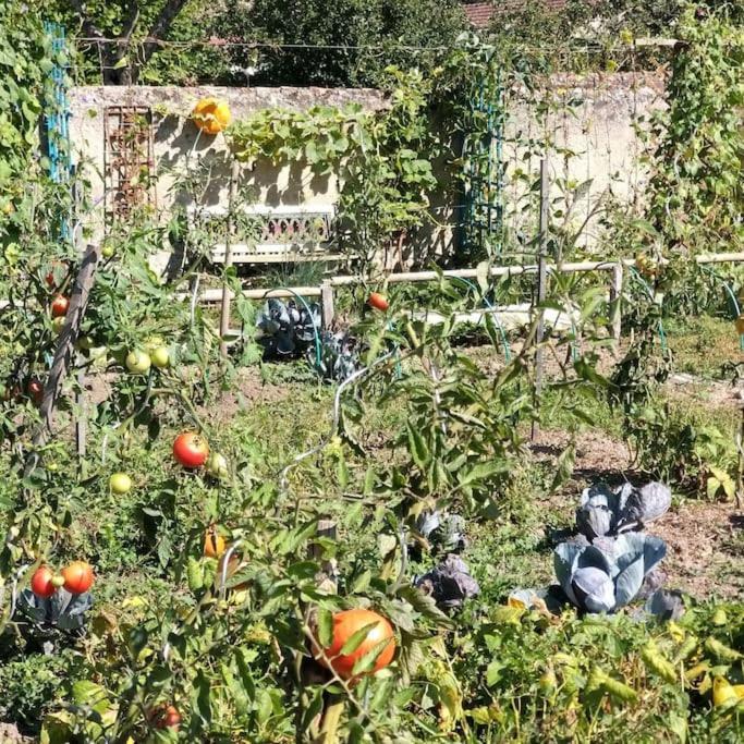 Les Noyers Monestois Entre Cher Et Canal De Berry Mennetou-sur-Cher Dış mekan fotoğraf